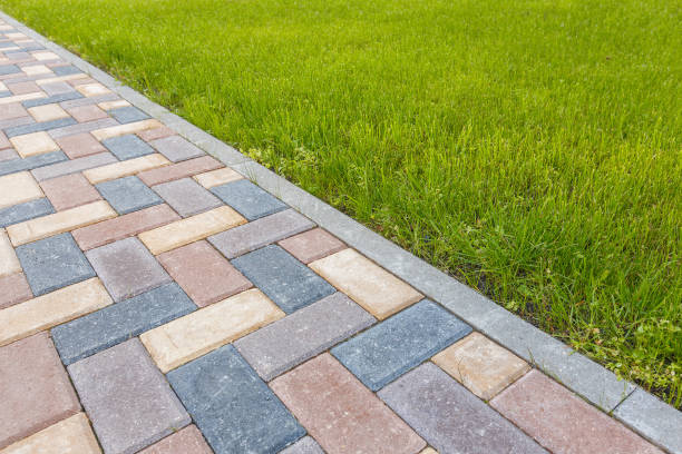 Best Local Driveway Pavers  in Arlington, TN